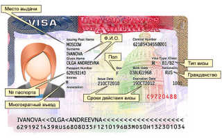 Разновидности виз в США