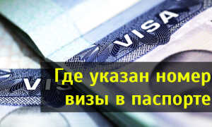 Где указан номер американской визы