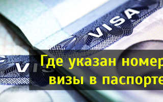 Где указан номер американской визы