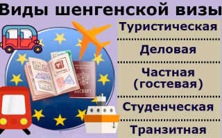 Виды виз в Польшу для россиян — туристическая, рабочая, транзитная и другие